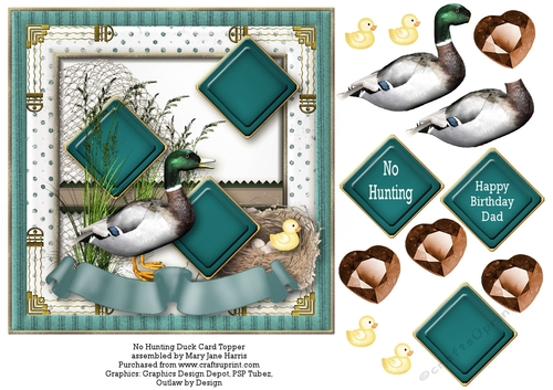 No Hunting Duck Card Topper 
