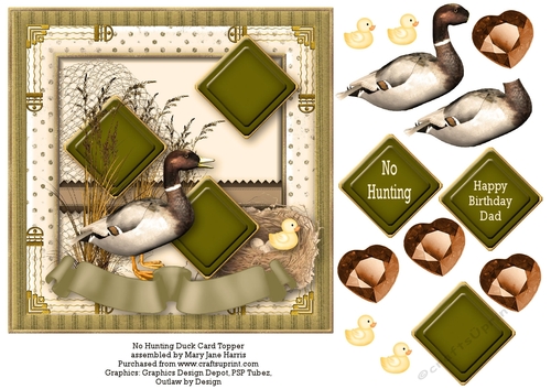 No Hunting Duck Card Topper 2