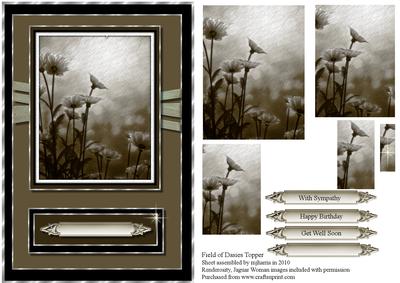 Field of Dasies Pyramid Card Topper