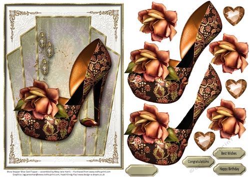 Show Stopper Shoe Card Topper 2