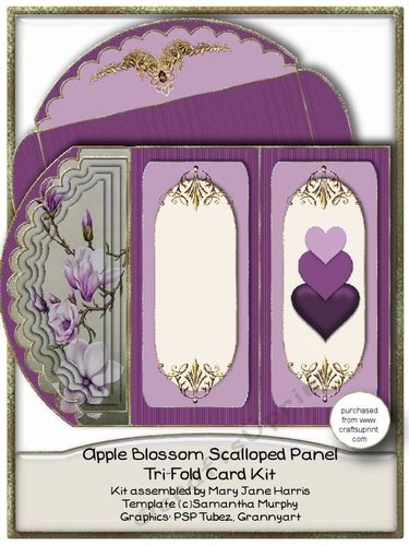 Apple Blossom Tri-Fold Scalloped Panel Card Kit 