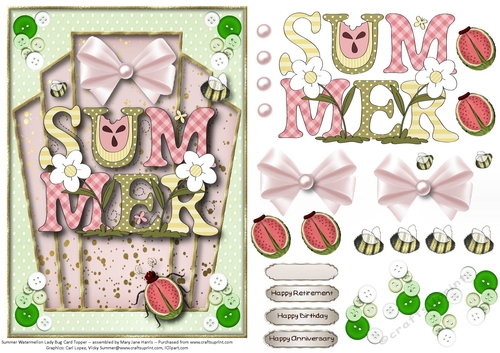 Summer Watermellon Lady Bug Card Topper 