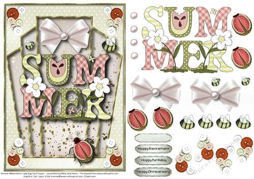 Summer Watermellon Lady Bug Card Topper 2