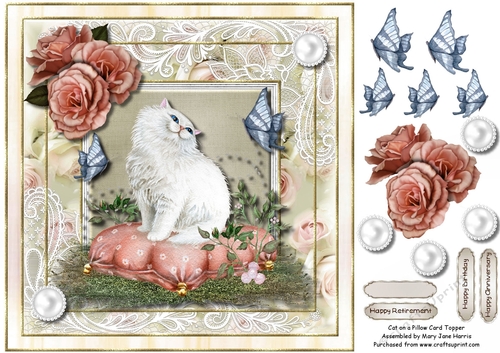 Cat on a Pillow Card Topper 