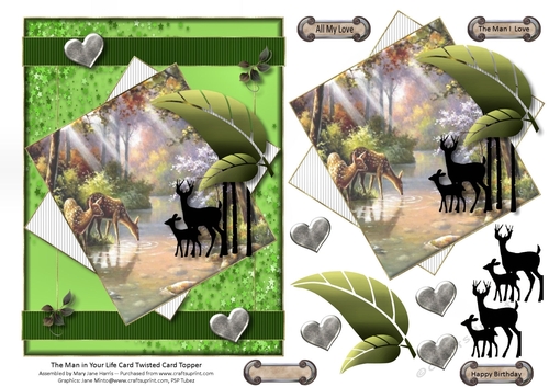 The Man in Your Life Twisted Card Topper 