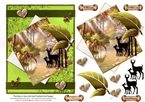 The Man in Your Life Twisted Card Topper 2