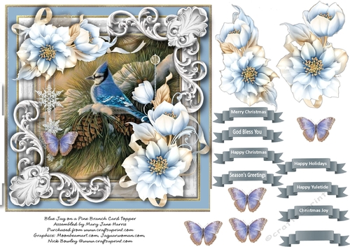 Christmas Blue Jay on a Pine Branch Card Topper 