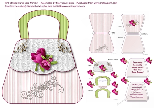 Pink Striped Purse Card Mini Kit 