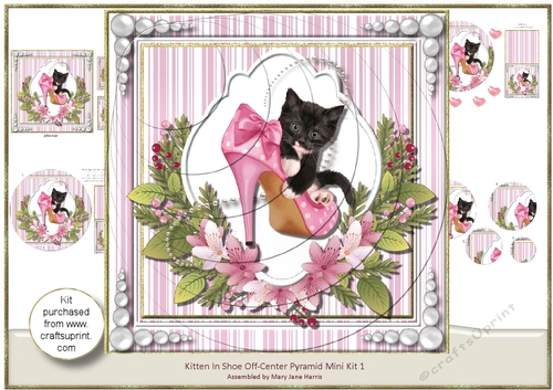Kitten in Shoe Off-Center Pyramid Mini Kit 1