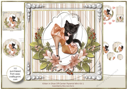 Kitten in Shoe Off-Center Pyramid Mini Kit 2