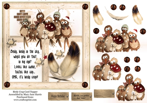 Birdy Crap Card Topper 2