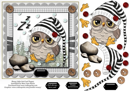 Sleepy Little Owl Card Topper 
