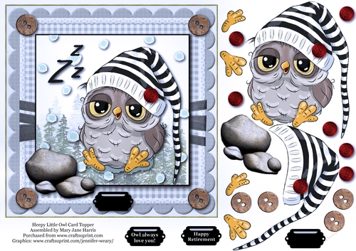 Sleepy Little Owl Card Topper 2