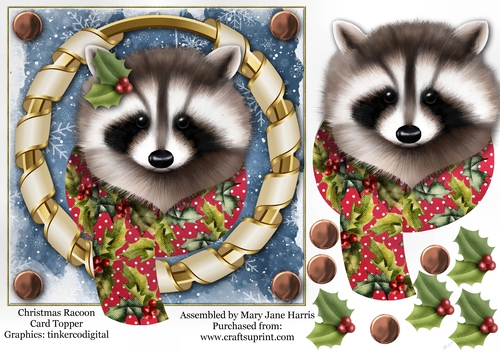 Christmas Racoon Card Topper