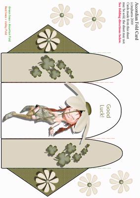 Accordion Fold Card (acc 5)