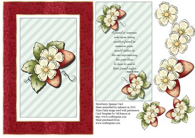 Strawberry Spinner Card
