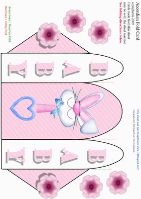 Accordion Fold Card (acc 13)