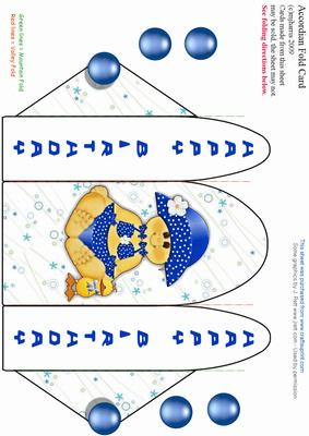 Accordion Fold Card (acc 15)