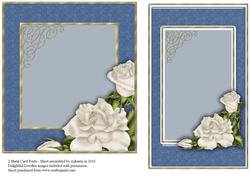 2 Blank Card Fronts
