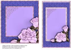 2 Blank Card Fronts 3