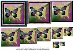 Framed Butterfly Pyramid Topper