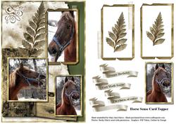 Horse Sense Card Topper
