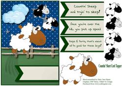Countin' Sheet Card Topper