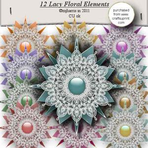 12 Lacy Floral Elements - Cu4cu