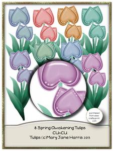 8 Spring Awakening Tulips - Cu4cu
