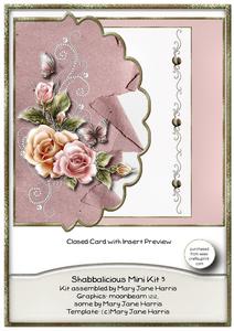 Shabbalicious Mini Kit 3