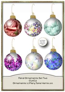 6 Floral Ornaments Set 2 - Cu4cu