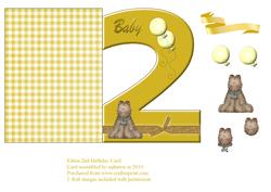 Kitten 2nd Birthday Card