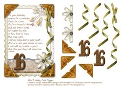 16th Birthday Card Topper