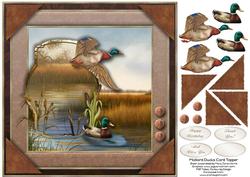 8x8 Mallard Ducks Card Topper