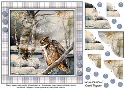 Wise Old Owl Card Topper 1