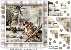 Wise Old Owl Card Topper 2