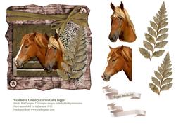 Weathered Country Horses Card Topper