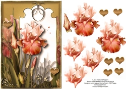 I Love Iris Card Topper 2
