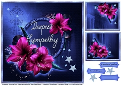 Sympathy for your Loss 3