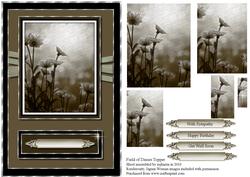 Field of Dasies Pyramid Card Topper