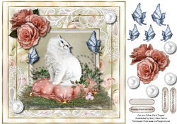 Cat on a Pillow Card Topper