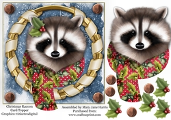 Christmas Racoon Card Topper
