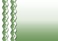 Pearls & Lace Backing Paper in Cucumber