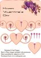 Peach Valentine's Day Topper