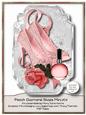 Peach Diamond Shoes Mini Kit