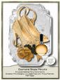 Gold Diamond Shoes Mini Kit