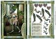 Warrior Princess of the Forest Card Topper 2