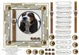 Man's Best Friend Topper 1