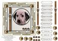 Man's Best Friend Topper 4