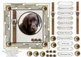 Man's Best Friend Topper 6